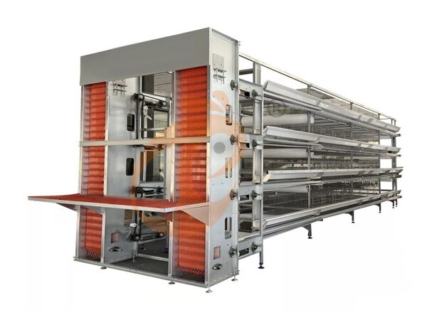 >30,000 Layers H Type Automatic Battery Cage