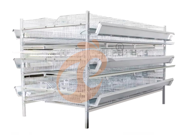 Layer Cage System Checklist Before You Request A Quote