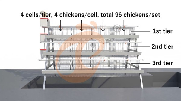 A Type layer battery cage system (2)