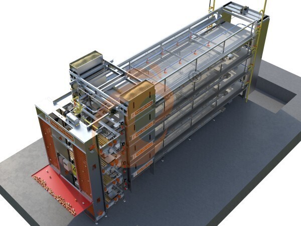 battery cage for layers (49)