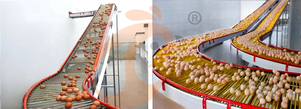 layer chicken cage H (16).png