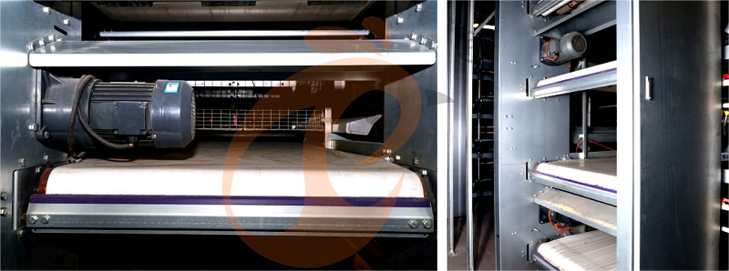 layer chicken cage H (15).png