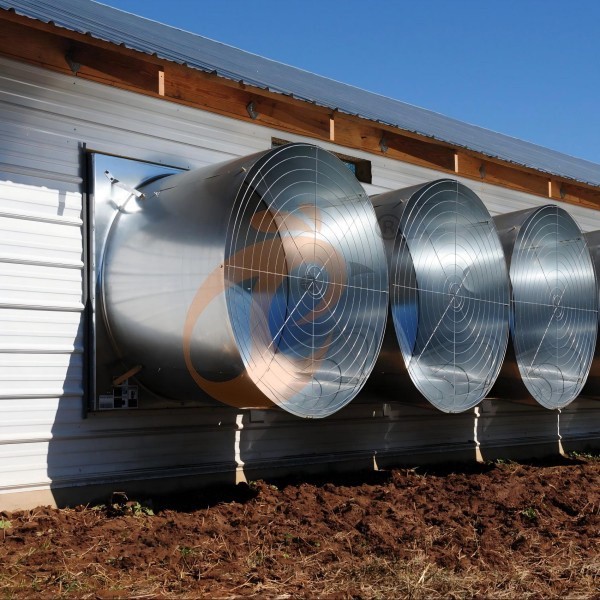poultry house ventilation 2 (1) poultry house ventilation 2 (1)