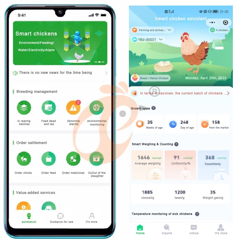 Smart Poultry Farm (52)