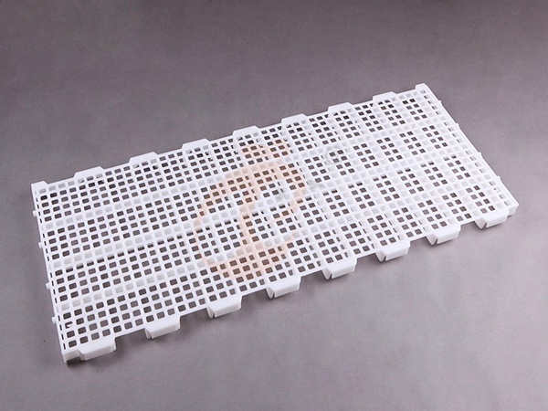 Floor Rearing Poultry System1 (10)