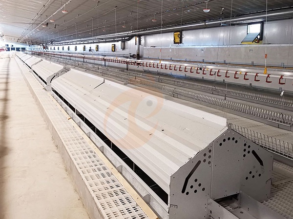 Floor Rearing Poultry System1 (7)