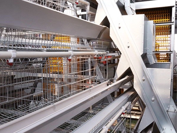 Feed System1 (1) Feed System1 (1)