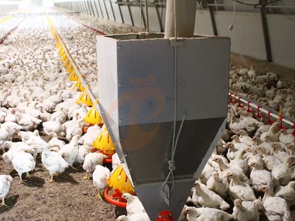 Feed Distribution Equipment Price Check: Top Popular & Recommended Models
