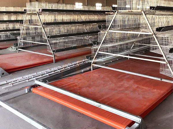 High-Efficiency Poultry Manure Management Systems: Product Guide for Chicken Farms