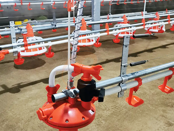 Water System3 (4)
