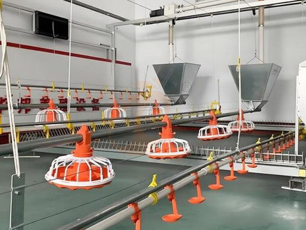 How To Choose Poultry Drinking Equipment In Kenya For Climate And Farm Size