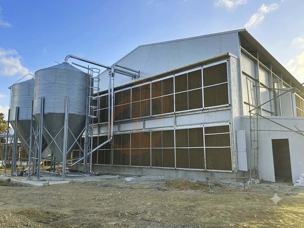 Automatic Feed Mill Vs Semi-Automatic | Which Increases Output?