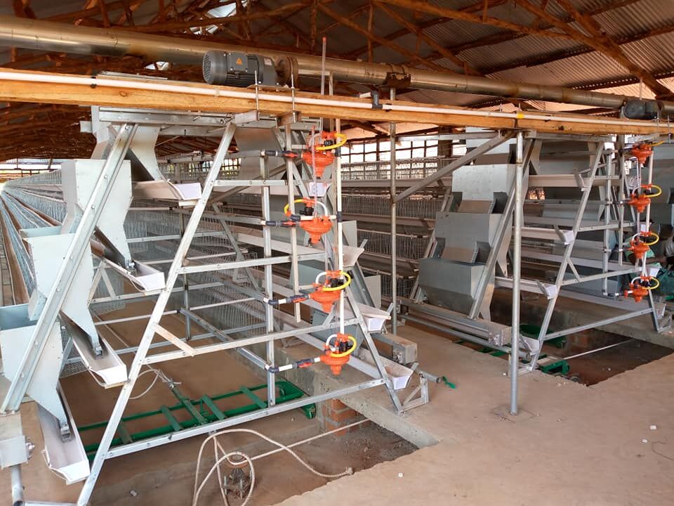 Components of automatic battery cage