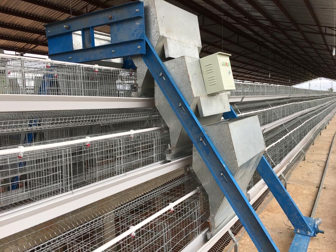 Introduction of feeding trolley to a poultry farm
