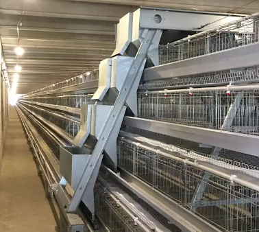 Reasons why A frame cage is widely used in Nigeria poultry farm