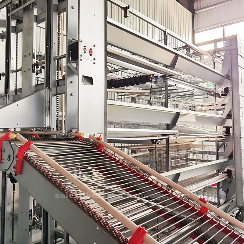 battery cage1.jpg battery cage1.jpg