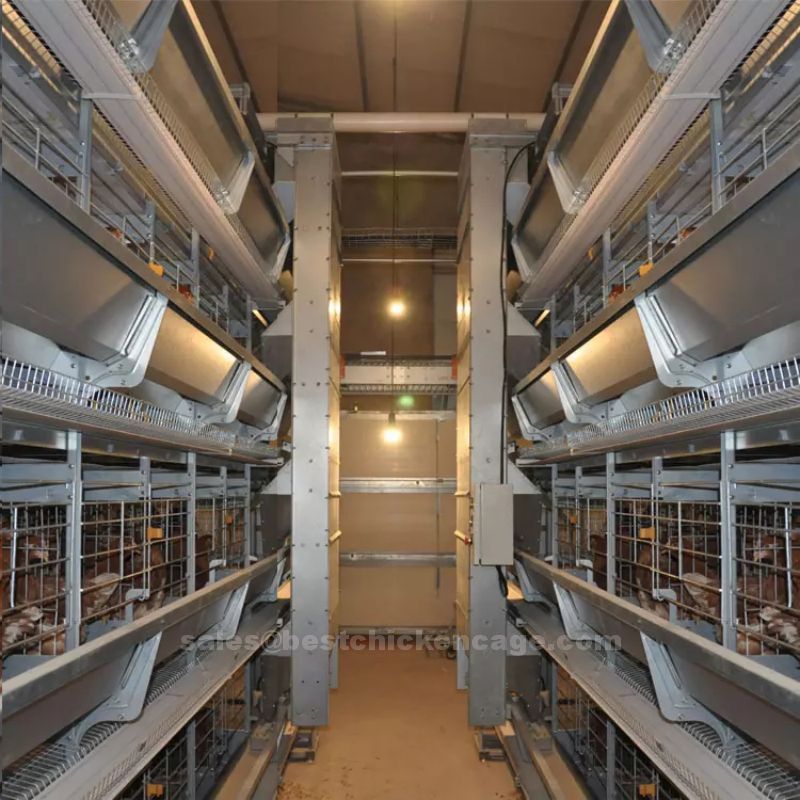 battery cage5.jpg How to prevent battery cages from rusting