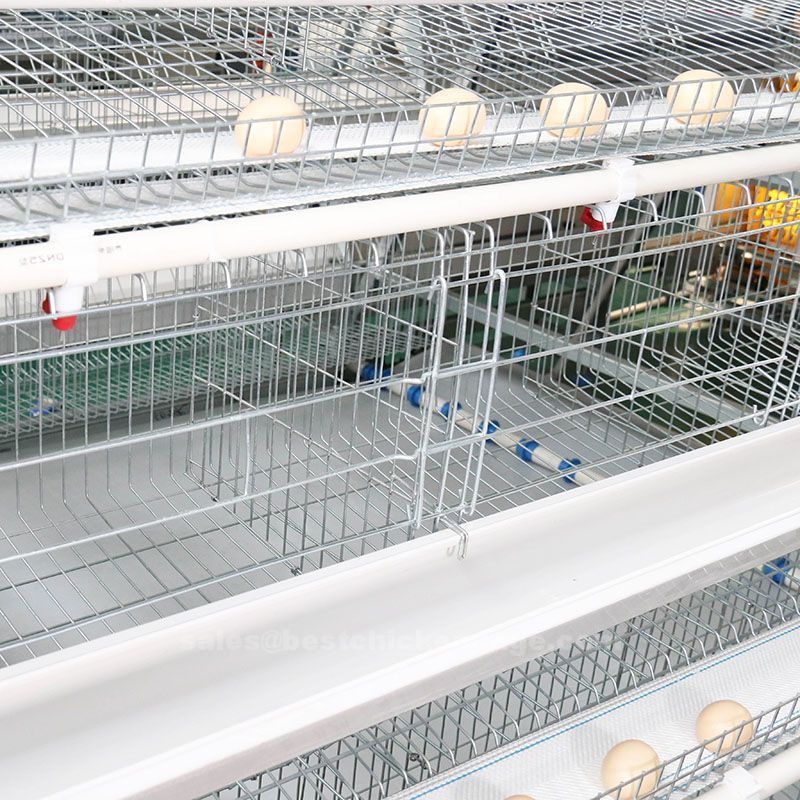 poultry farm2.jpg How importance of our products working in poultry farm