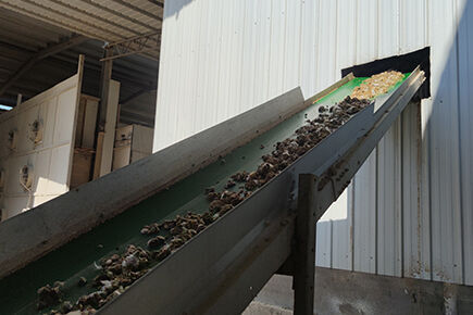 Our company finished chicken manure drying poultry
