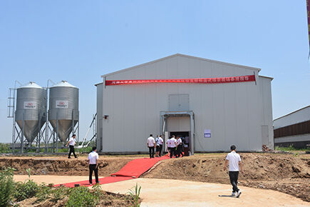 Our company finished layer project of automatic ch