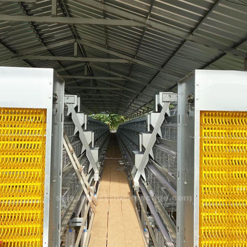 Chicken battery cage system in Nigeria poultry farm