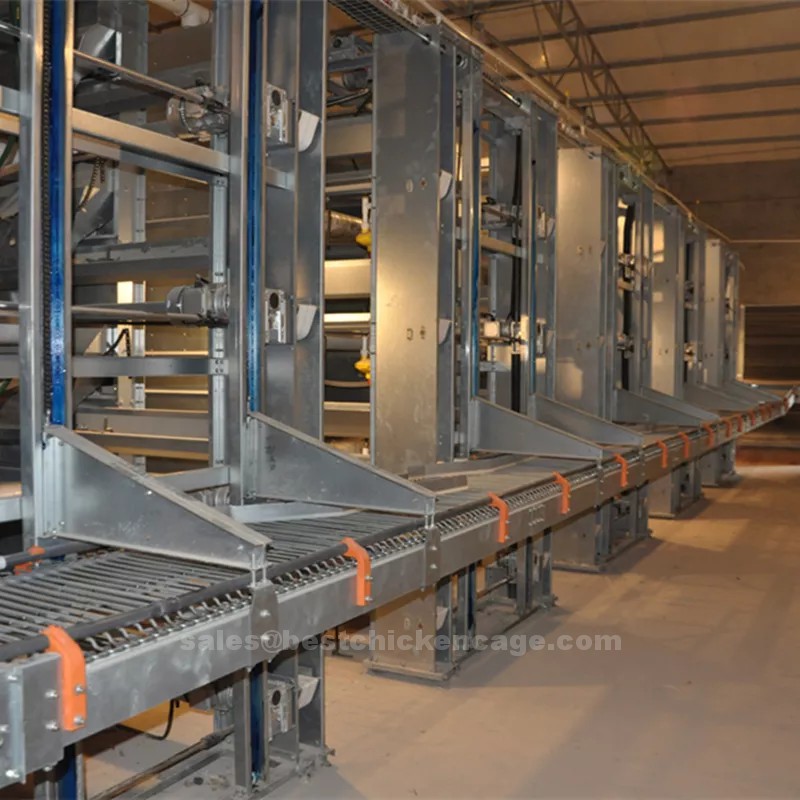 Why farmers prefer automated battery cage