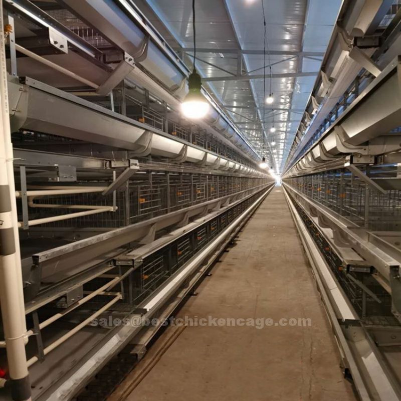 鸡笼或蛋鸡笼H (20).jpg Poultry chicken battery layer cage for sale