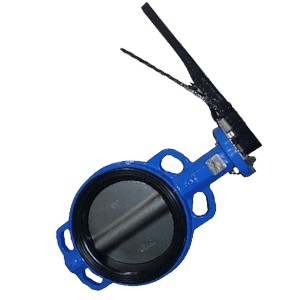 What is The Difference Between Double and Single Flange Butterfly Valve