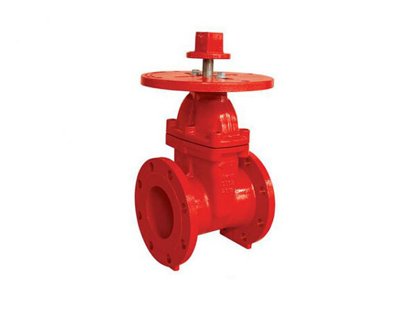 200PSI NRS Type Flanged End Gate Valve with Round Plate