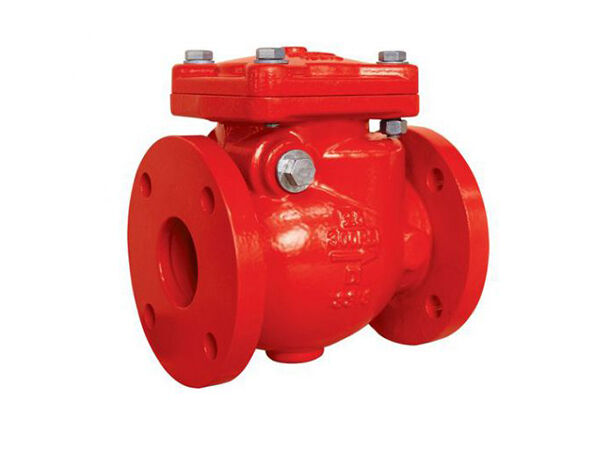 300PSI Flanged End Swing Check Valve