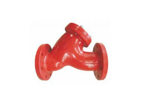 Class 300 Y-Strainer