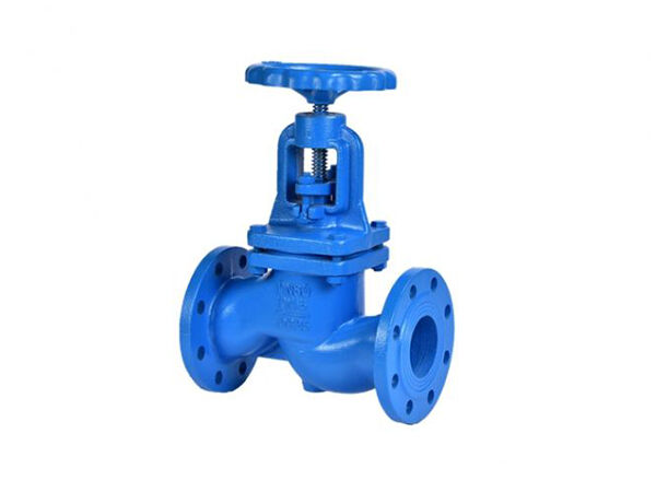Cast iron globe valve