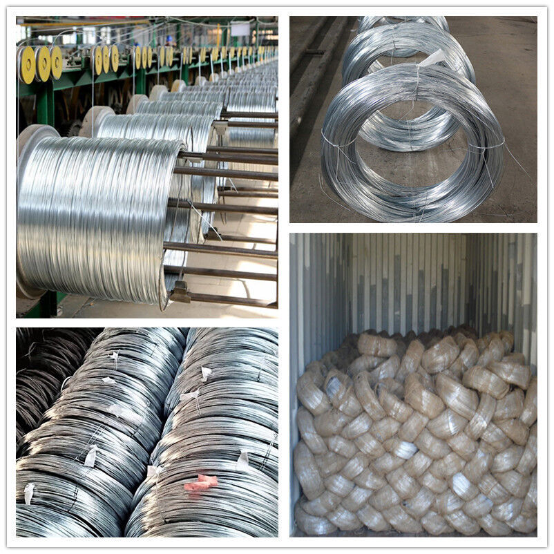 Galvanized Steel Wire