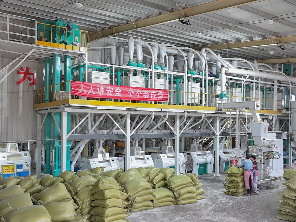 100tons of Corn flour and grit milling machine complete plant