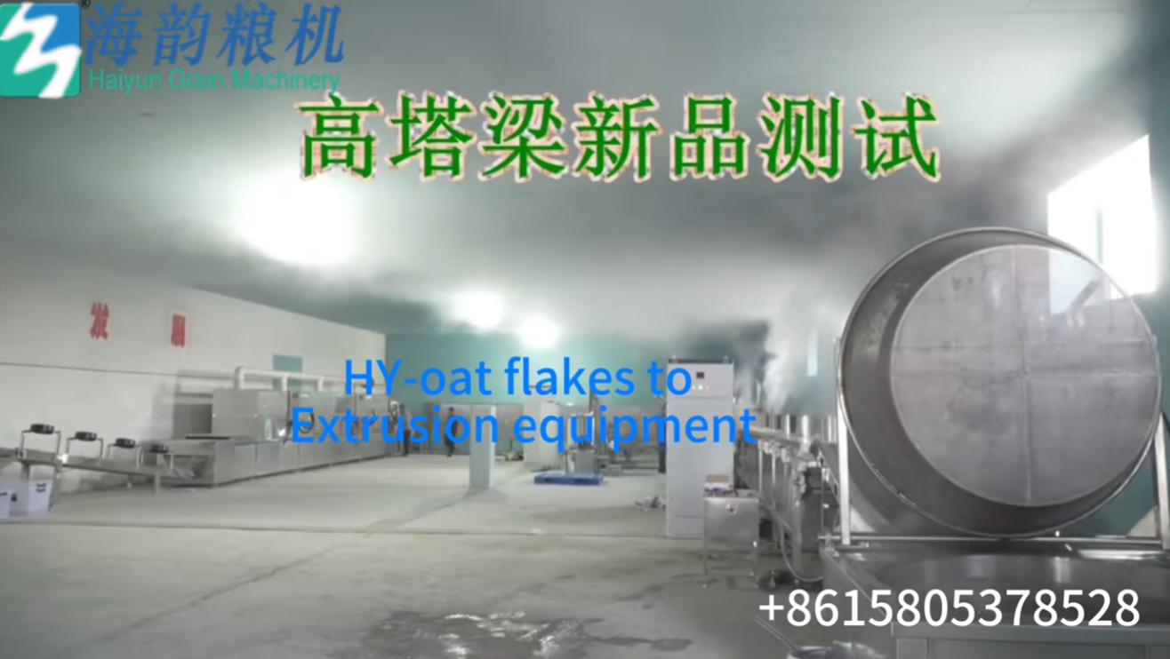 HY oat flakes to extrusion machine line small scale line #oat meal machine#groats machine.