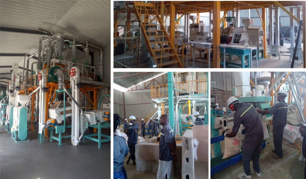 40tons of maize flour mill machine complete plant in Angola