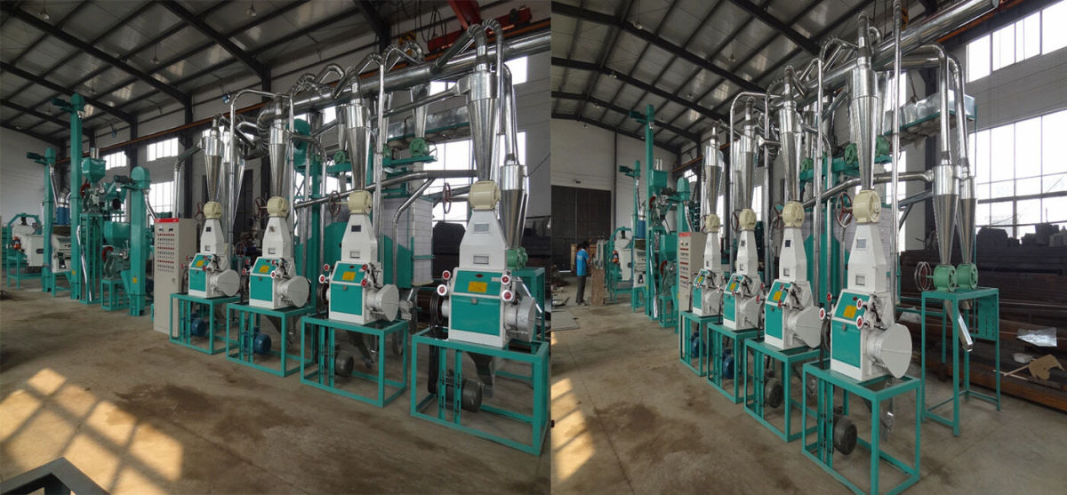 20tons of maize flour mill machine complete plant in Tanzania