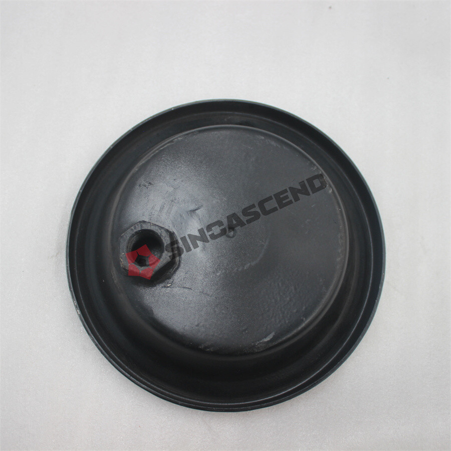 Balancer shaft cover End cap 2997054