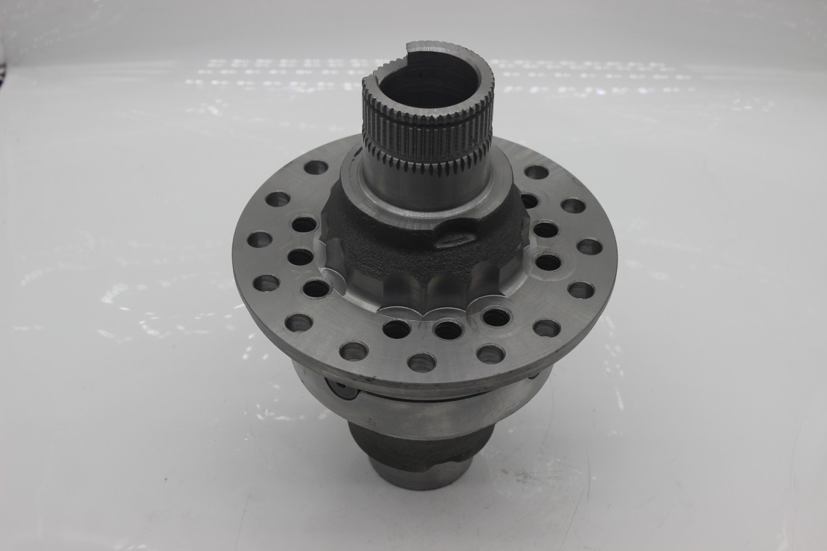 Differential assembly 3873501323