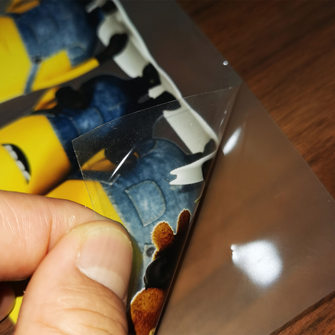 Custom Clear Window Decals