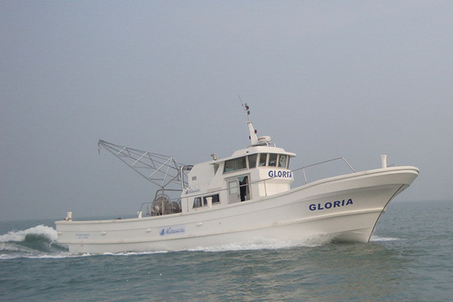 Grandsea 17m fibra de vidrio palangrero barco de pesca comercial a la venta