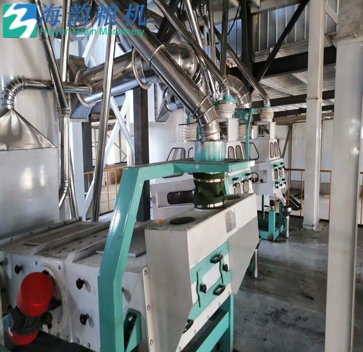 60 tonnes de ligne de machine de moulin à farine de sarrasin