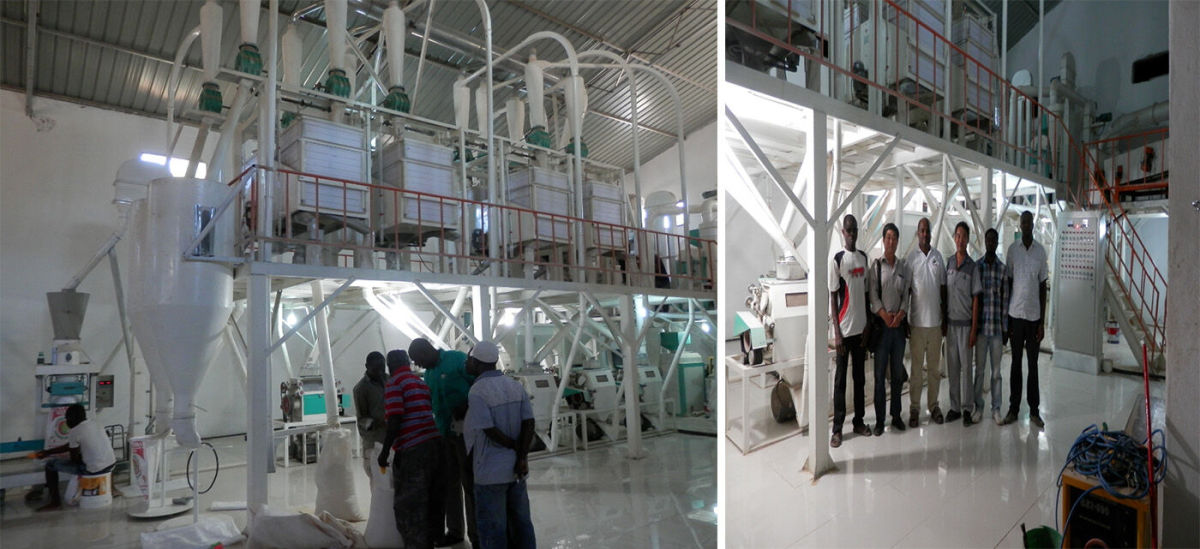 50 toneladas de farinha de milho e máquina de moinho de grãos fábrica completa em Moçambique