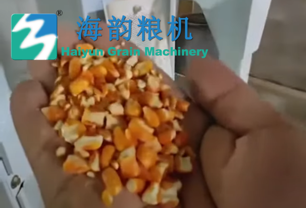 Planta de molienda de harina de maíz HY 100TPD 2024 3 4