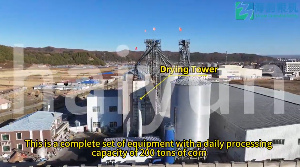 200TPD MAIZ MOLIDO Y HARINA DE PLANTA DE LA MÁQUINA