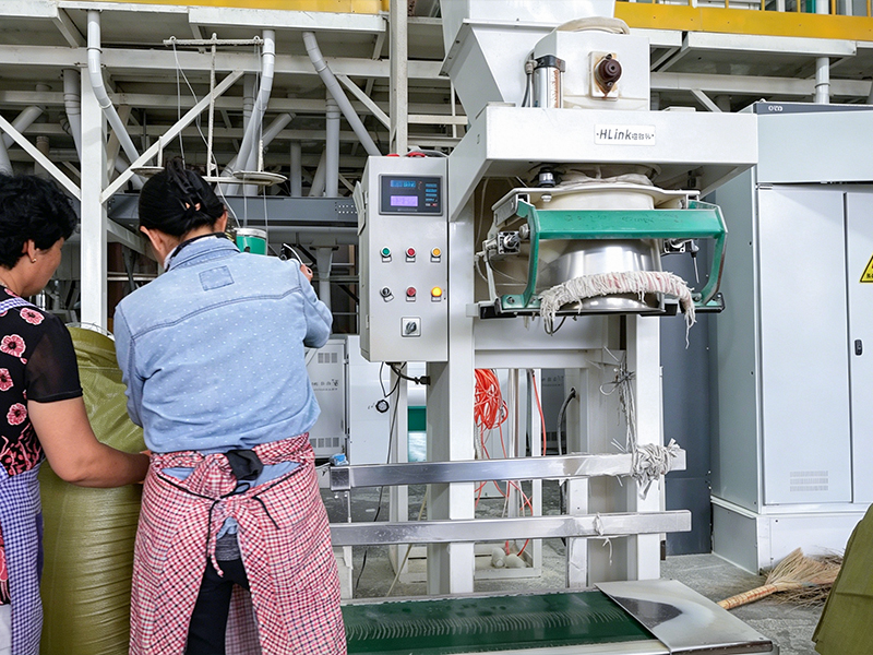 planta completa de máquina de molienda de harina de maíz y grits de 100 toneladas