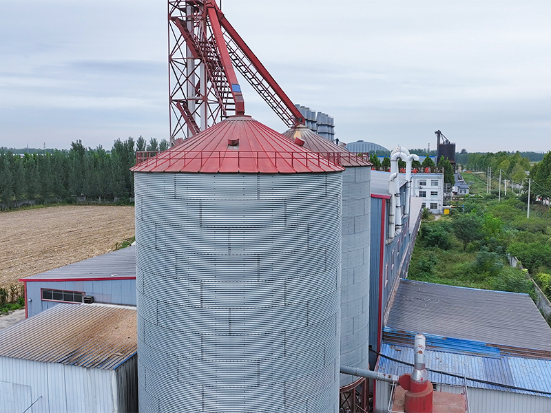 silo de grano de almacenamiento de 100-5000 toneladas