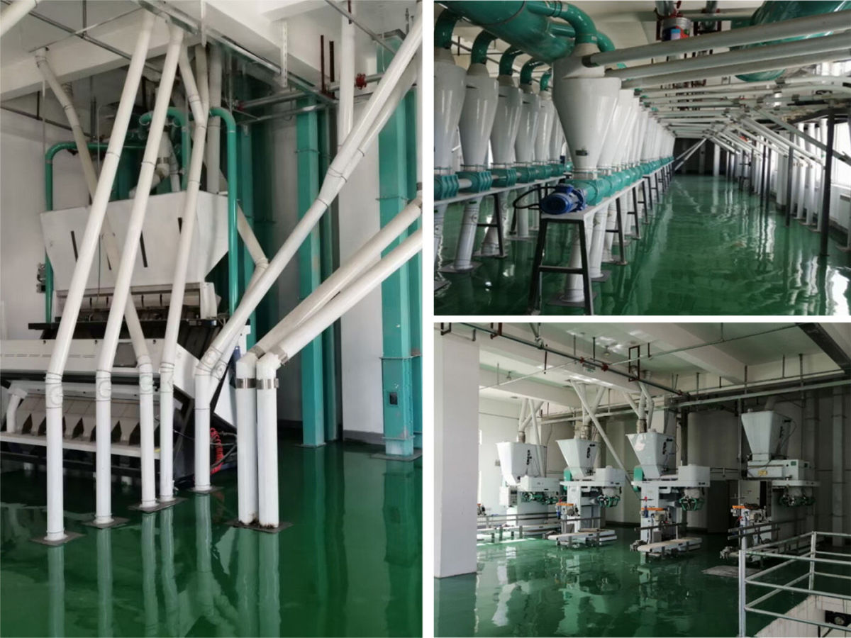 SISTEMA DE CONTROL AUTOMÁTICO DE LA COMPUTADORA PLC PARA 400TPD DE LA PLANTA DE MÁQUINAS DE MOLINO DE HARINA DE TRIGO