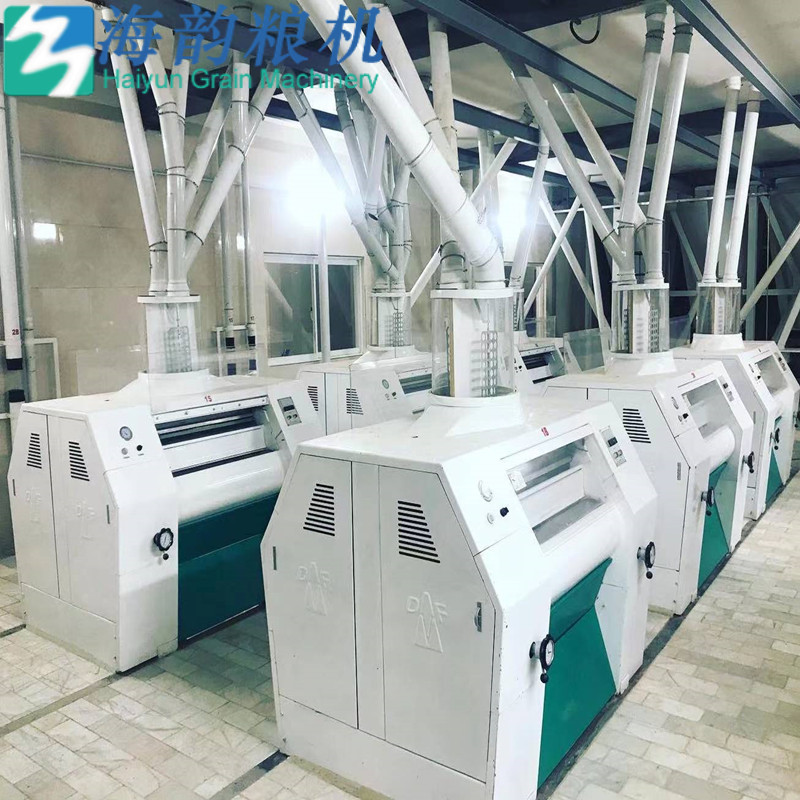 100 toneladas de máquina de molino de harina de trigo compiten planta