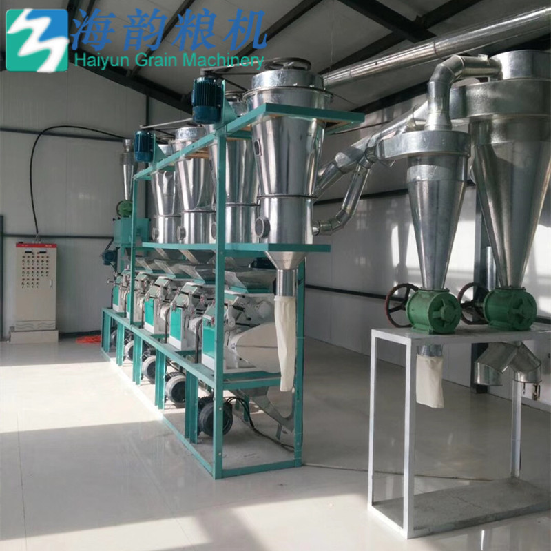 20 toneladas de máquina de molino de harina de trigo compiten planta